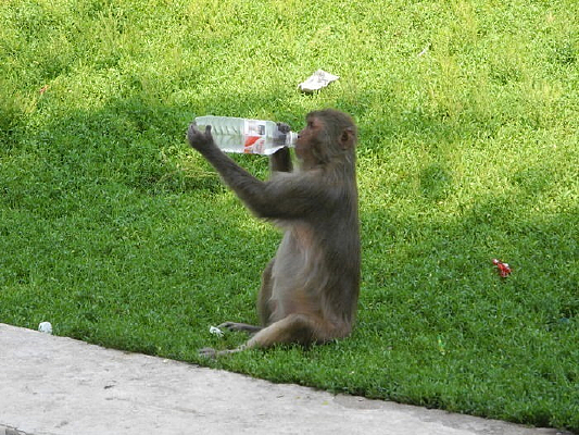 ��ˮ�ĺ���