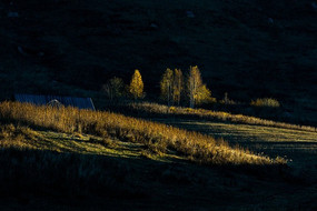 �����ľ��