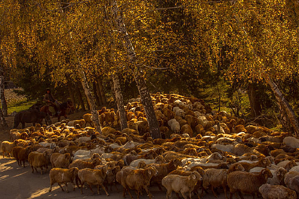 �½�ţ��ת��