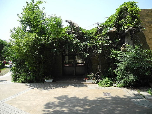 ��ɽ������