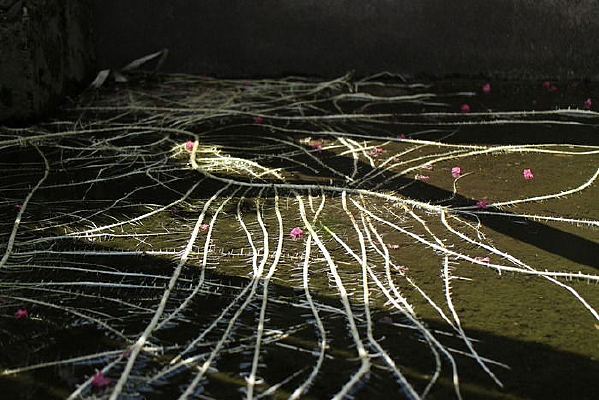 ��ɫ����