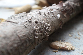 ���ϵ�ľ��