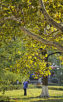 ���˹���