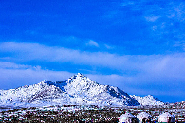 �չ��µ�Сɭ��