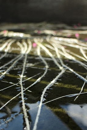 �������ⱳ��