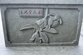 ˽𻨲踡