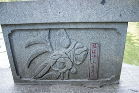 ж𻨲踡