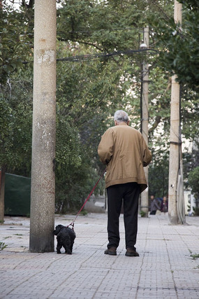 �޹���������