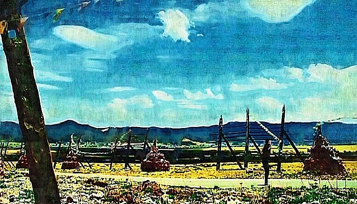 ���ط����ͻ�