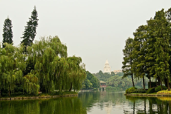 �������������