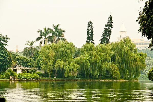 �������������