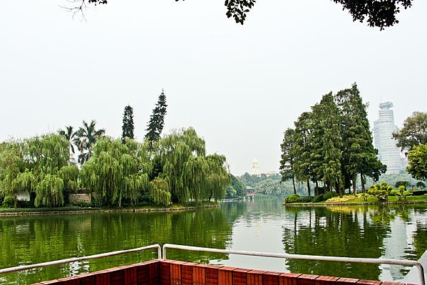 ȫ����������