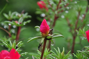 ��ʱ���Ļ��Ƕ�