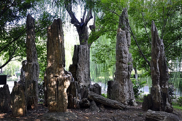 ϴī�ص�ʯ��