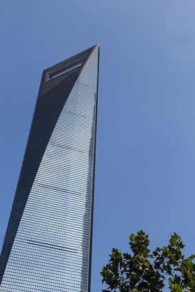 ����������Ҷ