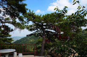 ǧɽ��������ʵ�Ժ������������