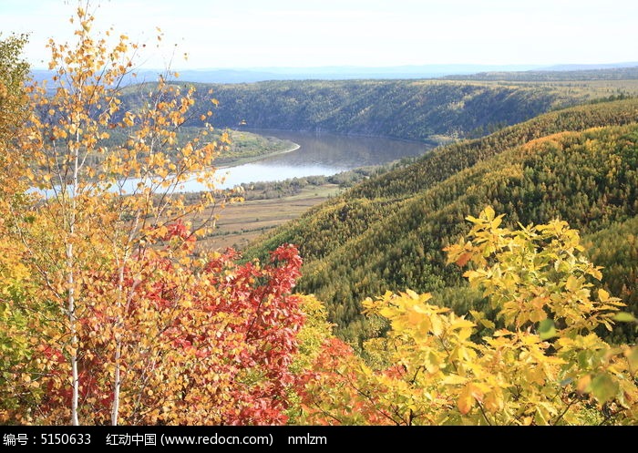 ���ֺ���ͼƬ