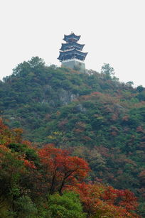 ��Ҷ��ɽ��