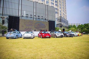 ͣ�ڲ�ƺ�ϵļ׿ǳ�����