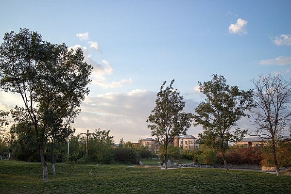 Ϧ���ݵؾ�ɫ