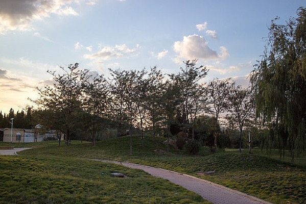 �ݵ��ϵ�С·