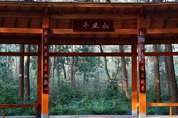 ���ְ���ɭ�ֹ�԰����ɷ�ͤ