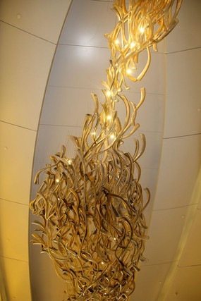 ���Ƶ���