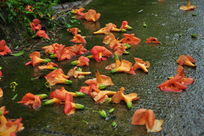 ��ˮ��ĵ���