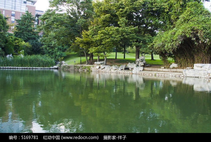 池塘風景