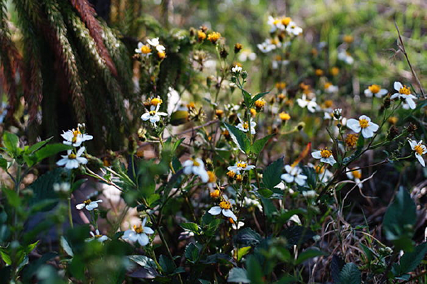 �����Ұ�ջ�