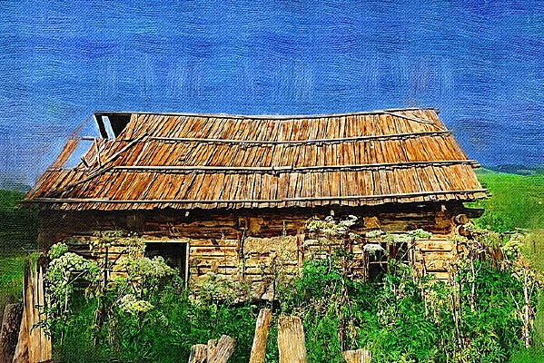 ������ݻ���