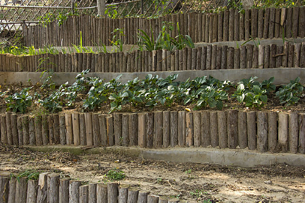 �������