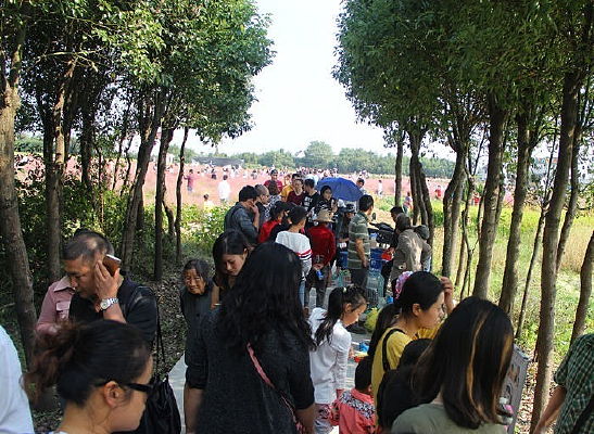 ������֯