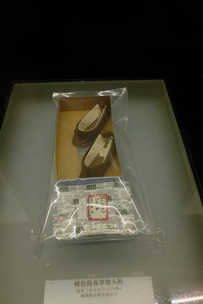 ��ɫ�Ứ�޳�ͷЬ