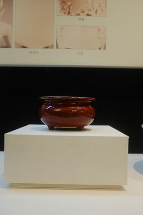 �»�Ҥ��������¯