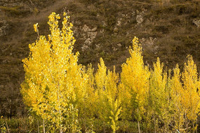 �＾��������