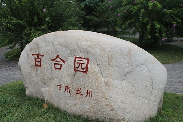 ʯͷ����-�ٺ�԰