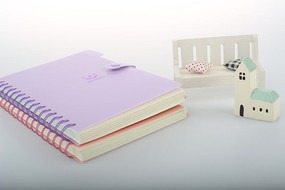 �ʼǱ�С����