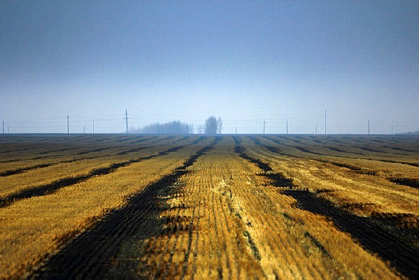 ����¸���