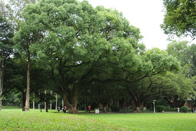 �д��������