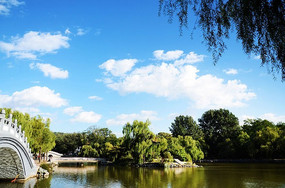 ��ɽ��һ�Ź�԰����Ͷ��������ϵİ���