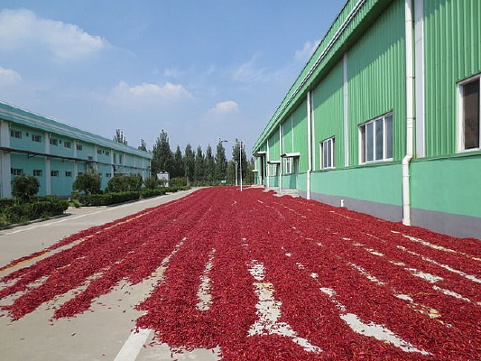 �����ĺ췿��