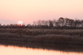 ̫������ԭҰ