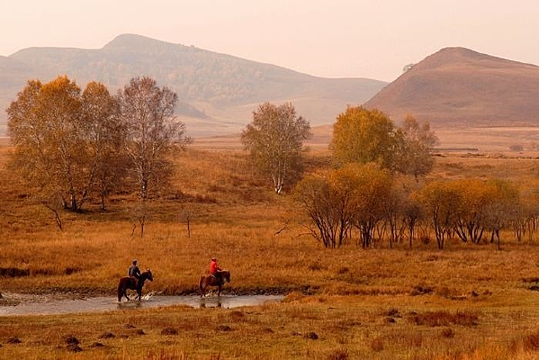 Ϧ������