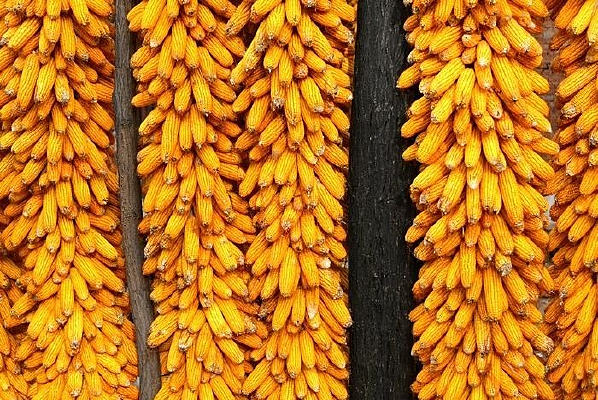 ���յ�����