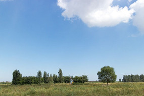 ��������԰