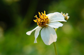 ���л�Ļ�����д