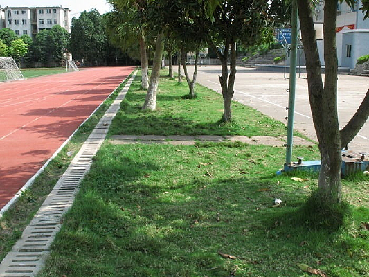 �����ﾶ��ƺ