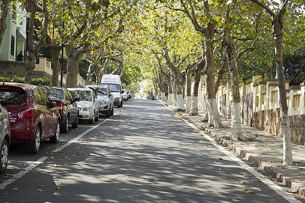 ��·�����������