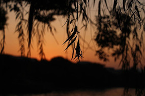 ��������ʱ��